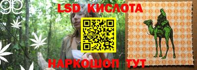 амф Гатчина