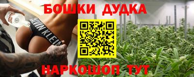 амф Гатчина
