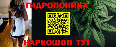 метадон Гай