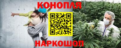 амф Гатчина