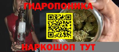 метадон Гай