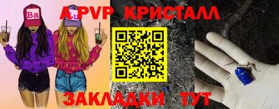 амф Гатчина