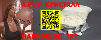 амф Гатчина