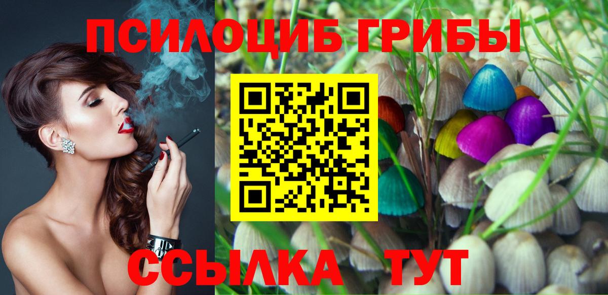 Галлюциногенные грибы Psilocybine cubensis  Вход с VPN  где купить наркотик  Озёры 