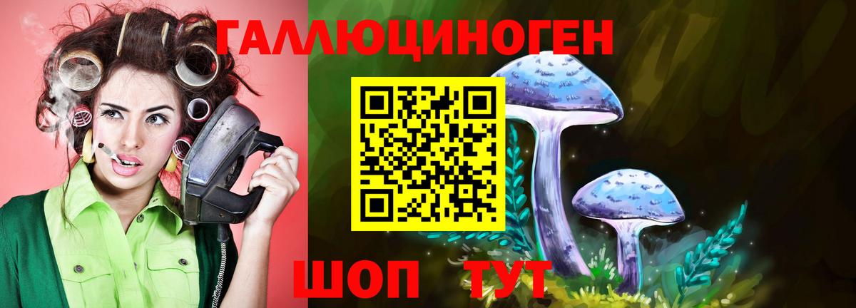 Псилоцибиновые грибы MAGIC MUSHROOMS Озёры